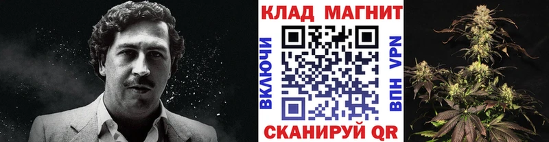 Наркошоп Ртищево COCAIN  АМФ  Меф  Гашиш  Псилоцибиновые грибы  A PVP  Конопля 