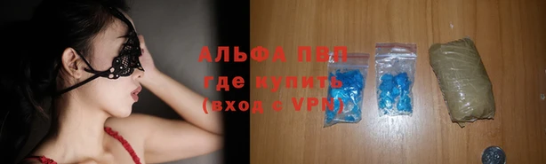 спиды Новозыбков