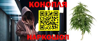 дживик Будённовск