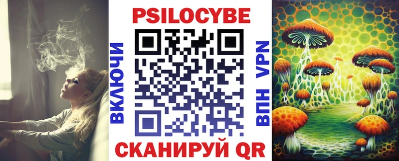 Псилоцибиновые грибы прущие грибы  kraken как войти  Ртищево 