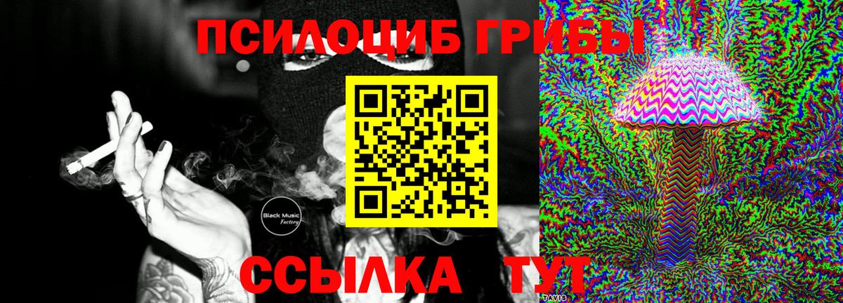 Псилоцибиновые грибы GOLDEN TEACHER  Ртищево  Псилоцибиновые грибы MAGIC MUSHROOMS 